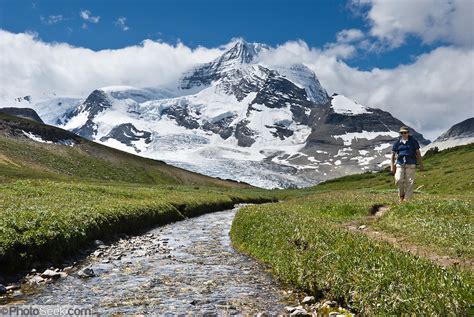 Hike Snowbird Pass Mount Robson Provincial Park British Columbia