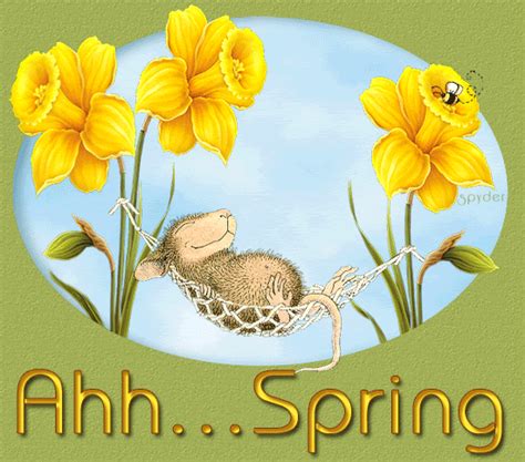 Ahhspring Spring Flowers Animated Season Happy Spring Spring