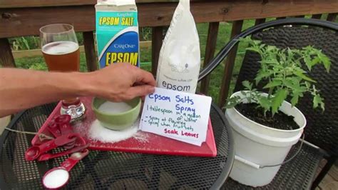Why Is Epsom Saltmagnesium Sulfate Good For Tomato And Vegetable Plants