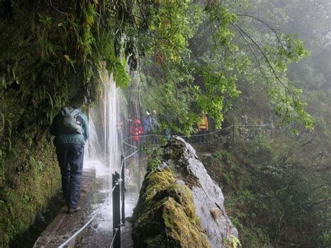 Here S Why Madeira Was Just Named The Best Island In Europe Photos Madeira Island Madeira