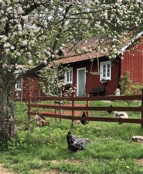 My Scandinavian Home Step Inside An Idyllic Swedish Country Home On A