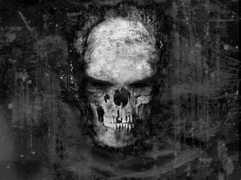 wallpaper background skull kolek gambar