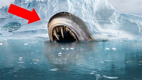 10 Scariest Creatures Found Frozen In Antarctica Youtube