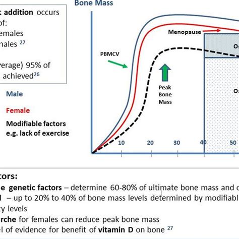 Peak Bone Mass And Athletes Pbmcv Peak Bone Mineral Content Velocity