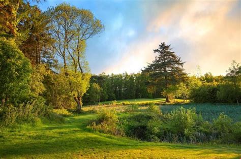 .macdonald linden hall golf and country club is a superb golf destination, whose parkland layout will be enjoyed by all those who visit, whilst remaining a genuine challenge for even the best golfer. Macdonald Linden Hall Golf & Country Club, North East ...