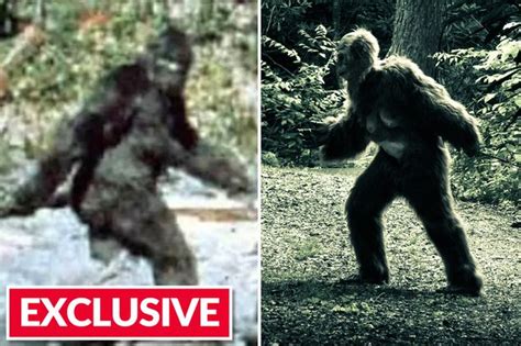 Possible ‘bigfoot Footprints Measuring 16 Inches Found Pressed Into