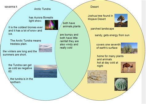 Diagram Rainforest And Desert Plants Venn Diagram Mydiagramonline