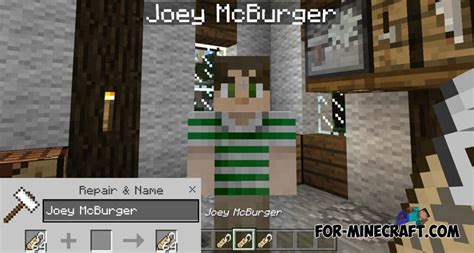 With these systems of the mechanisms can be automated. Custom NPC mod for Minecraft PE 1.0/0.17.0