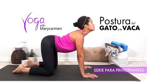 Yoga Con Marycarmen Postura Del Gato Y La Vaca Yoga Para