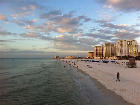 Orlando cat café will be central florida's first cat café. Breakfast on the Beach at Clear Sky Cafe in Clearwater ...