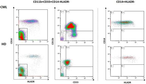 Frontiers Myeloid Derived Suppressor Cells In Chronic Myeloid