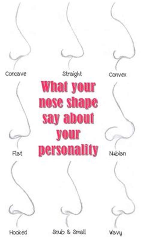 The nubian nose this nose type is characterised by a long nose shape with a base that is wide. 1000+ images about Nose Shapes on Pinterest | Cartoon ...