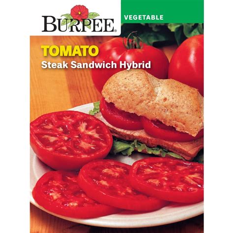 Burpee Steak Sandwich Hybrid Tomato Vegetable Seed 1 Pack