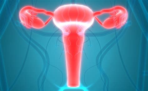 Bacterial Infection In Uterus During Pregnancy Symptoms Pregnancysymptoms