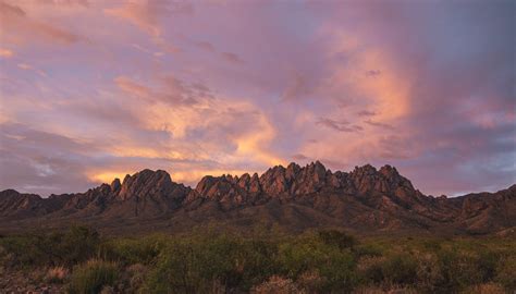 Photography Organ Mountain Spring Sunset Organ Mountain Outfitters