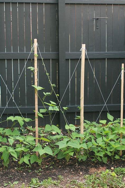 This particular trellis belongs to the latter group, in that i designed it to be leaned up against whatever else is around. Green Been Garden | Building a trellis, Pole beans, Bean ...