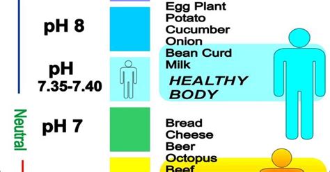Ph Level Of Fruit Chart Bing Images Pineal Gland Pinterest