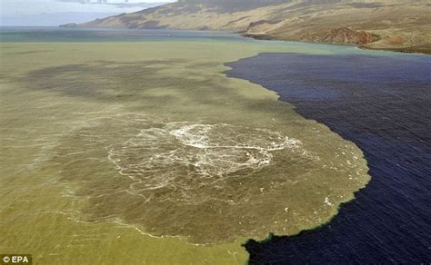 El Hierro Volcano Ready For Eruption Homes Evacuated On Spains