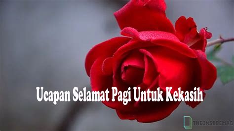 We did not find results for: Ucapan Salam Subuh Dan Selamat Pagi - artikelkuc