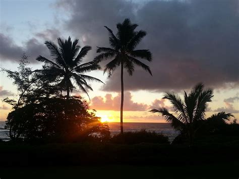 Hd Wallpaper Trees And Sunset Hawaii Palm Trees Kauai Sunrise