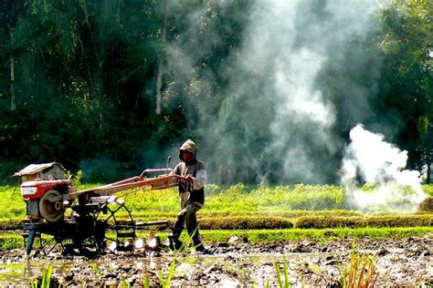 Atmosfer adalah lapisan gas yang umumnya dikenal sebagai udara, yang menyelimuti bumi dan ditahan oleh gaya gravitasi. Efek Rumah Kaca | Pengertian, Penyebab, Akibat, Cara ...