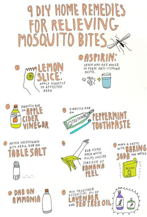 Diy Ways Of Getting Rid Of Mosquito Bites Home Remedies For Mosquito Remedies For Mosquito