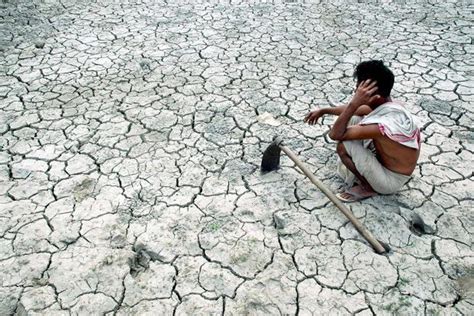 Karnataka Govt Declares 42 More Talukas Drought Affected Livemint