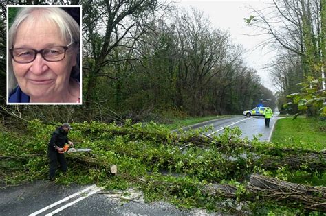 Woman 69 Killed After Falling Tree Caused Horror Car Crash In 109mph Winds Pictured For First