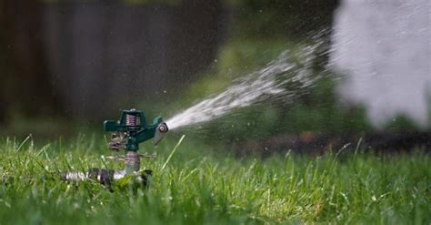 Best Impact Sprinkler You Can Find For Your Garden