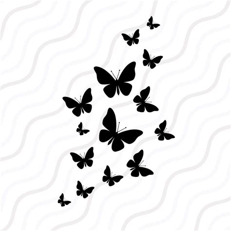 78 Butterfly Svg With Name SVG PNG EPS DXF File