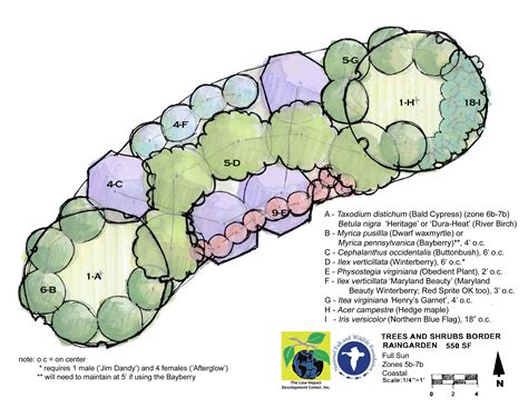Rain garden template  Rain garden, Rain garden design, Garden design plans