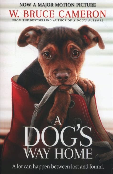 A Dogs Way Home By W Bruce Cameron Books Being Made Into Movies