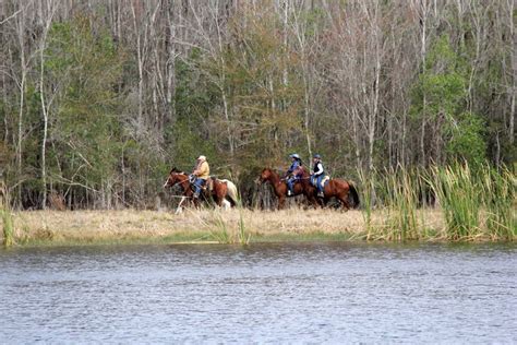 Horseback Riding At Colt Creek Florida State Parks