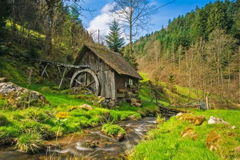 The Black Forest And More A 7 Days Itinerary Down To