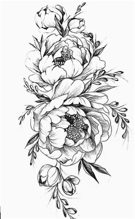 14 Drawing Flowers Pencil Simple In 2020 Peony Drawing Peony Flower