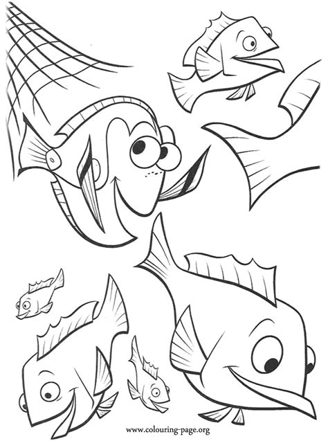 finding nemo dory  school  grouper breaking  net coloring page