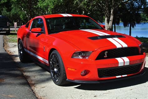 2011 Ford Shelby Gt500 Pictures Cargurus