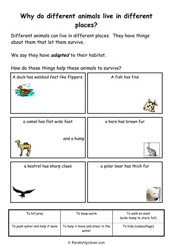 They have profound implications for how we as a society wish to deal with those who break our laws. Animal Adaption by fiendishlyclever - Teaching Resources - Tes