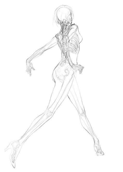 Skeleton Art On Tumblr