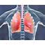 Understanding Lung Health  ModiHealth