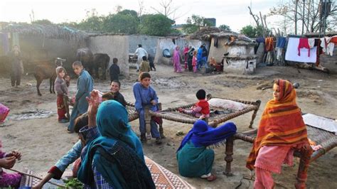 گاؤں کی زندگی کیمرے کی نظر سے Bbc News اردو
