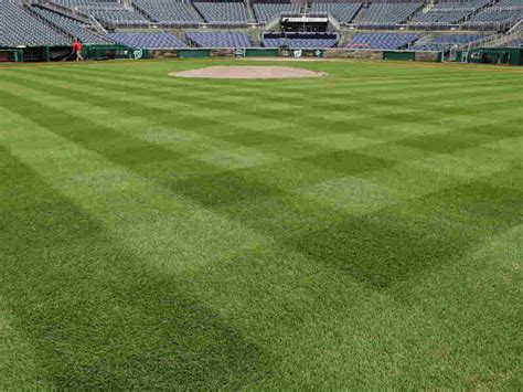 The Grass Is Always Greener At The Baseball Field Npr