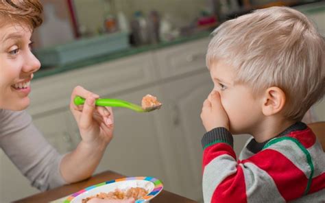 Learn best practices for their health, safety, and handling discipline. 7 Tips for Introducing Foods to Your Picky Eater | Summit ...