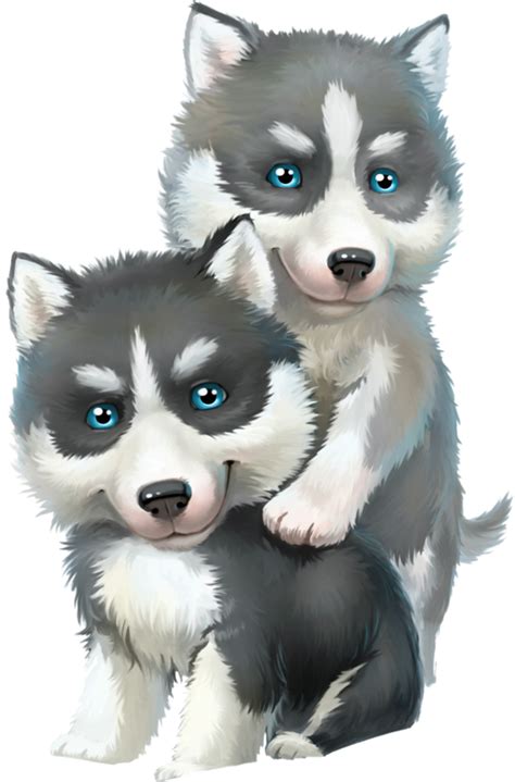 Siberian Husky Puppies Baby Cute Puppy Wallpaper