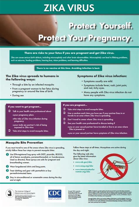 Zika Virus And Pregnancy 2017 Northern California Fertility Med Center