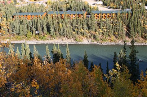Denali Grizzly Bear Resort | Family-Owned Lodging in… | ALASKA.ORG