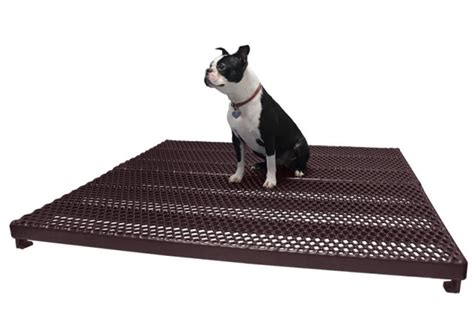 The Ultimate Guide To Choosing And Maintaining Dog Kennel Flooring