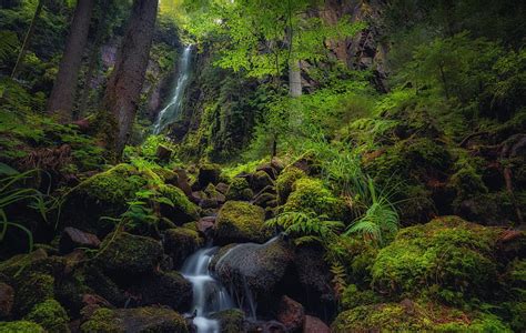 Waterfalls Waterfall Moss Nature Rock Hd Wallpaper Peakpx