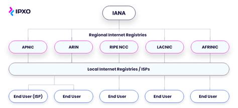 What Is Regional Internet Registry Comprehensive Guide Ipxo