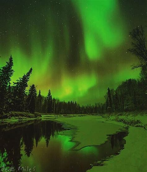 Northern Lights In Fairbanks Alaska 💚💚💚 Picture By Denemiles Have A